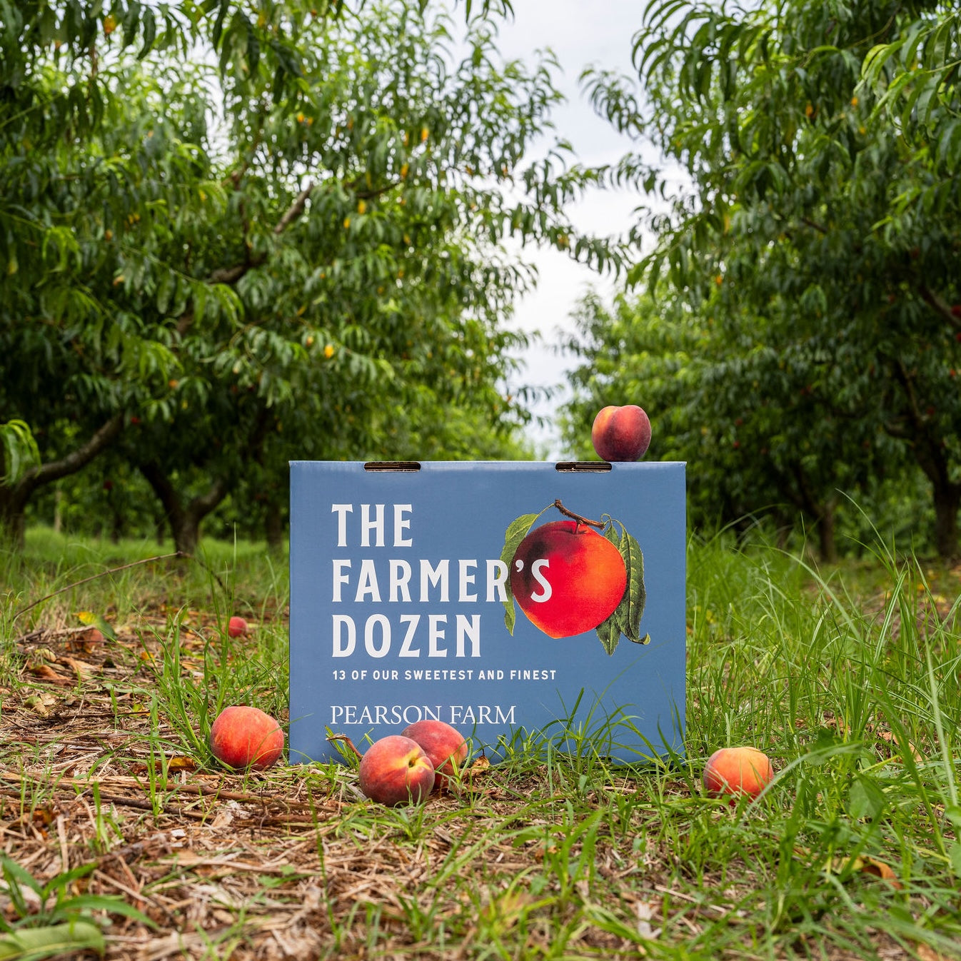 The Farmer's Dozen