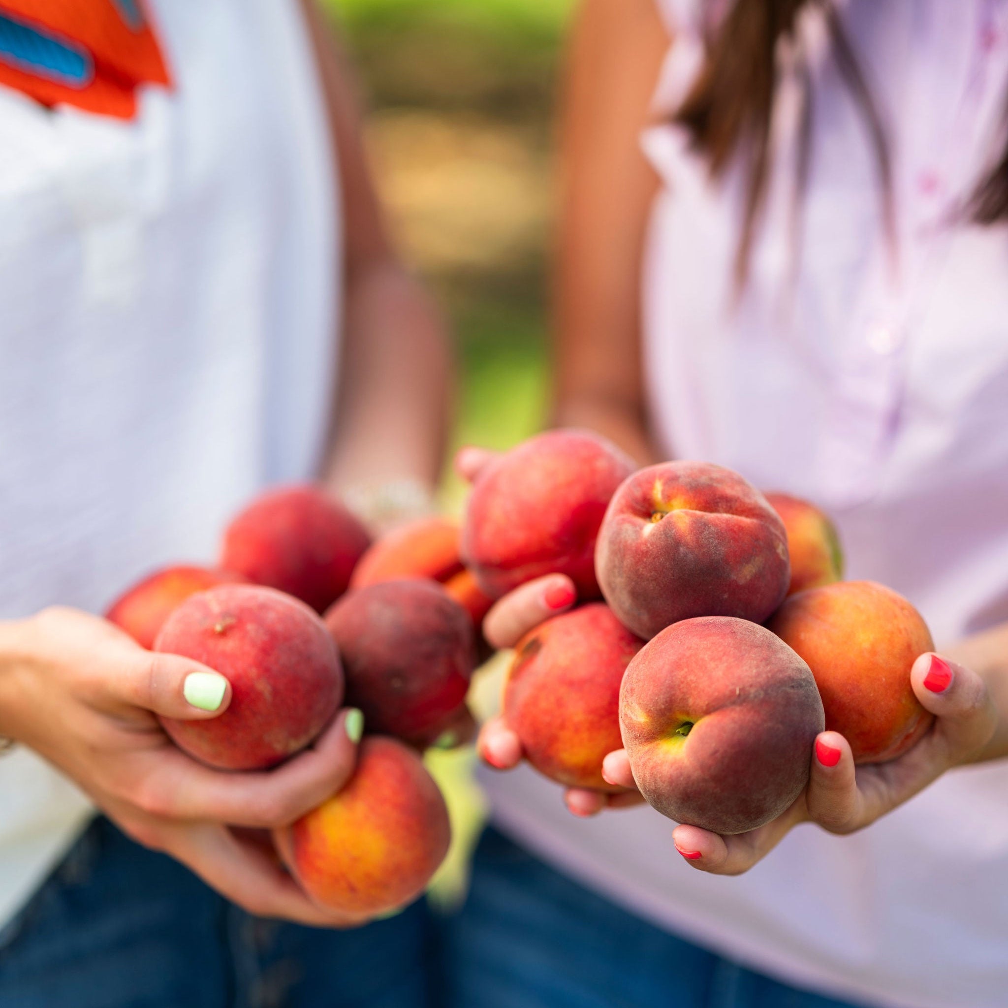 The Farmer's Double Dozen