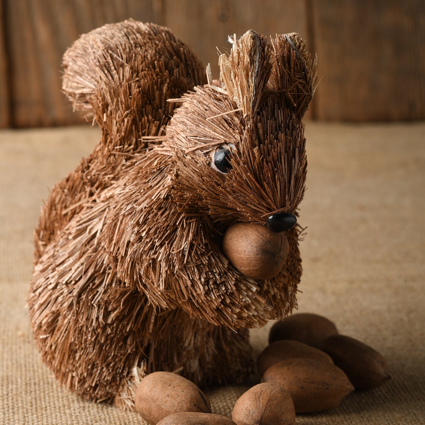 Squirrel Box