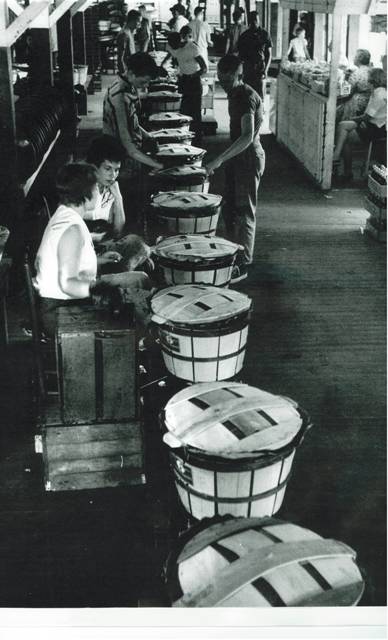 A Letter From Dan (Guest post from Al Pearson)