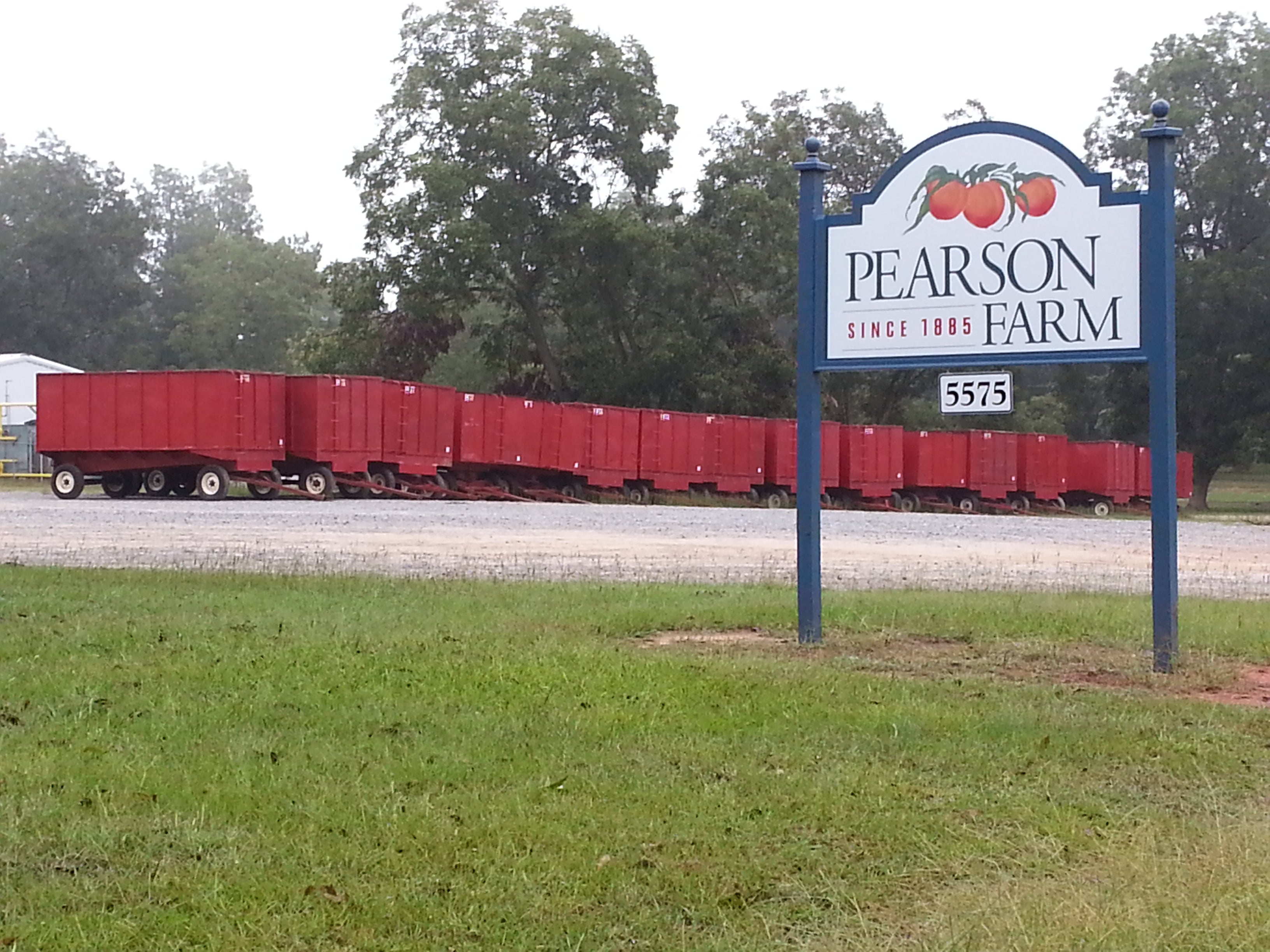 Pecan Season is HERE!!