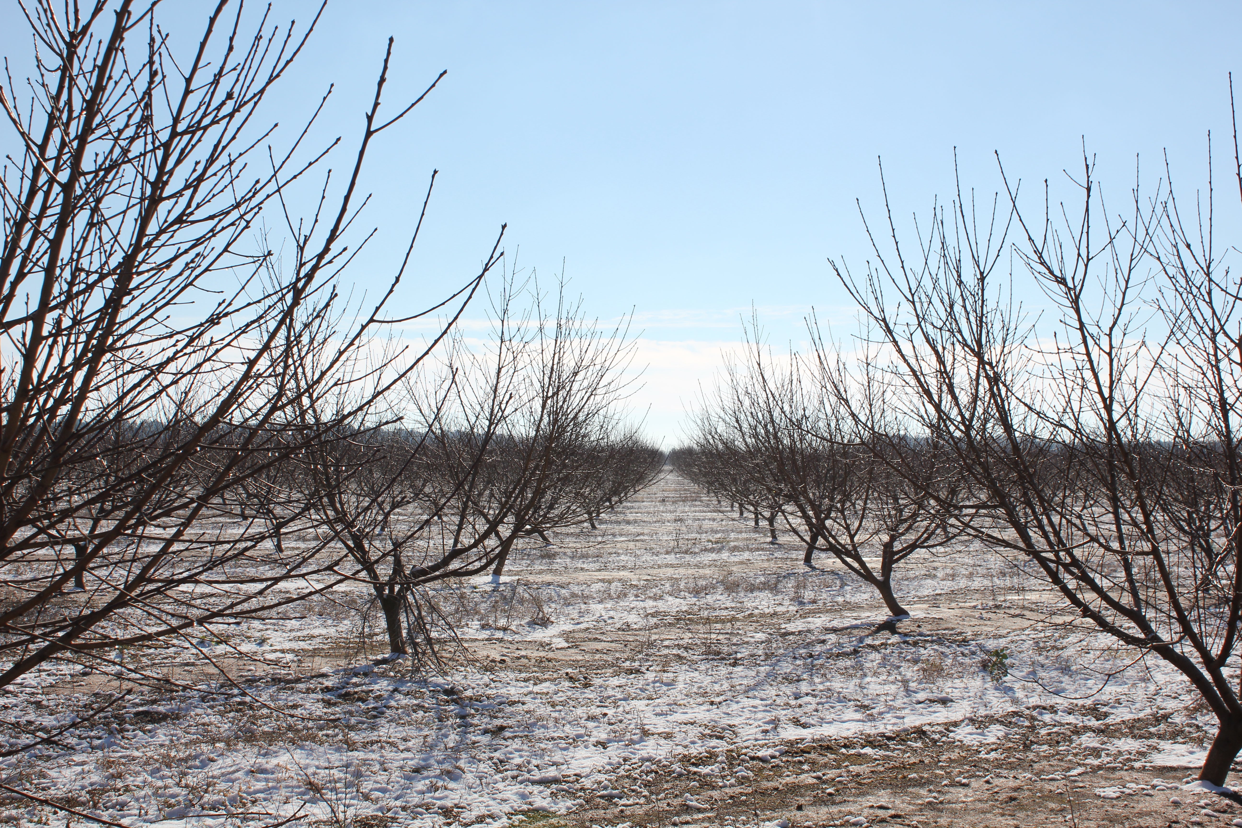 How much sleep do you need?