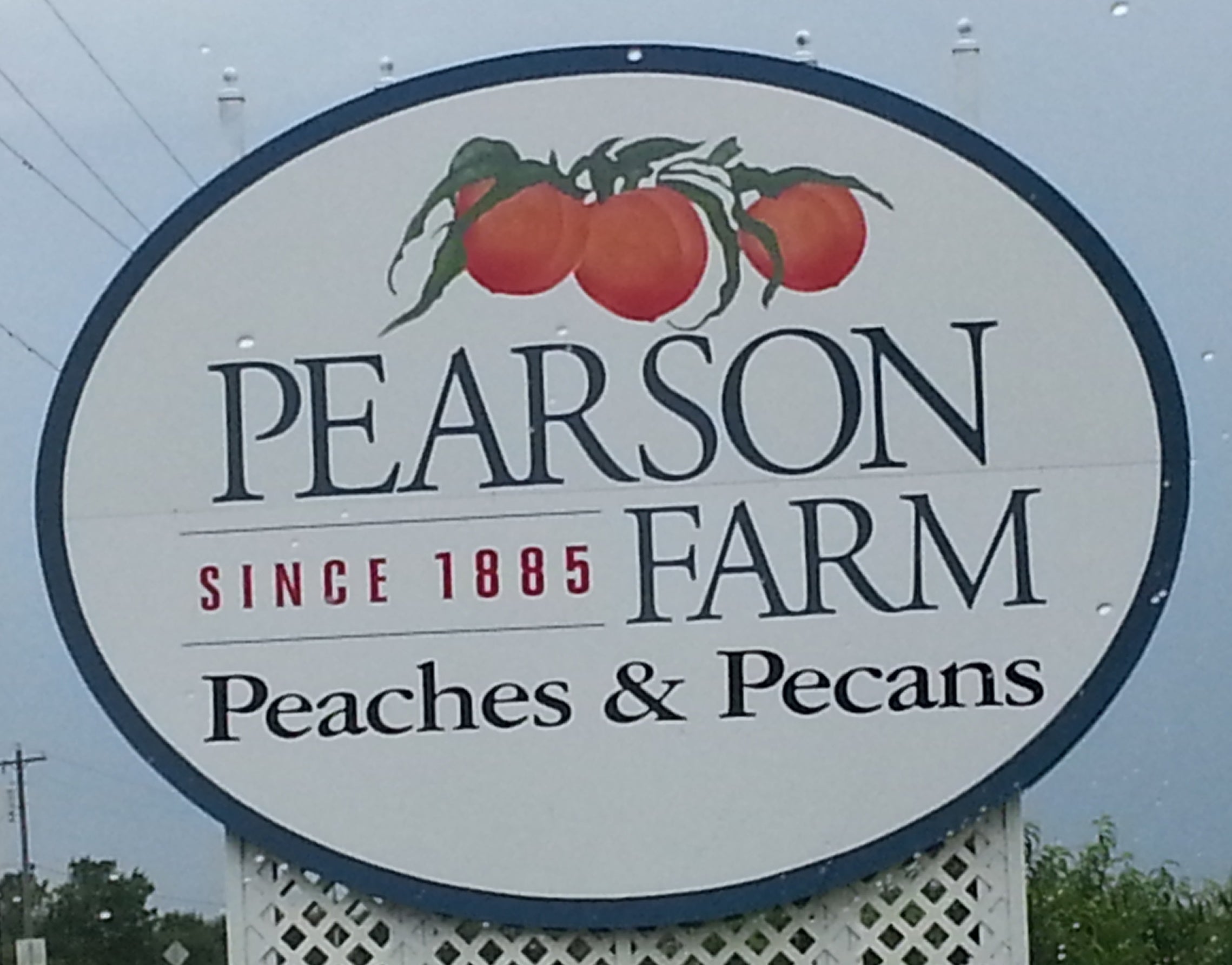 Introduction to Pearson Farm FAMILY Friday