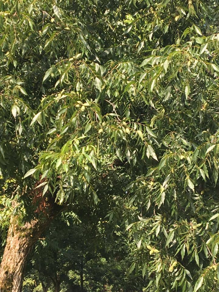 I Spy with My Little Eye...