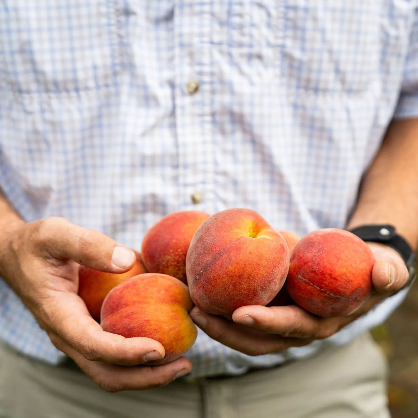 Mystery Peach Box