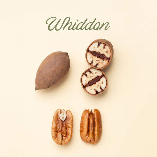 Whiddon In-Shell Pecans