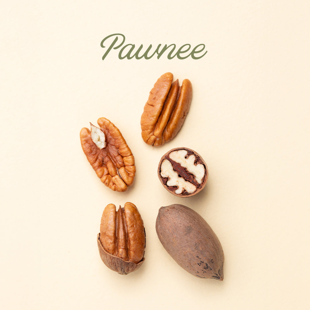 Pawnee In-Shell Pecans
