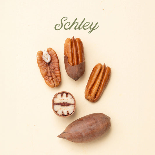 Schley In-Shell Pecans