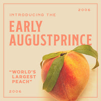 Early Augustprince