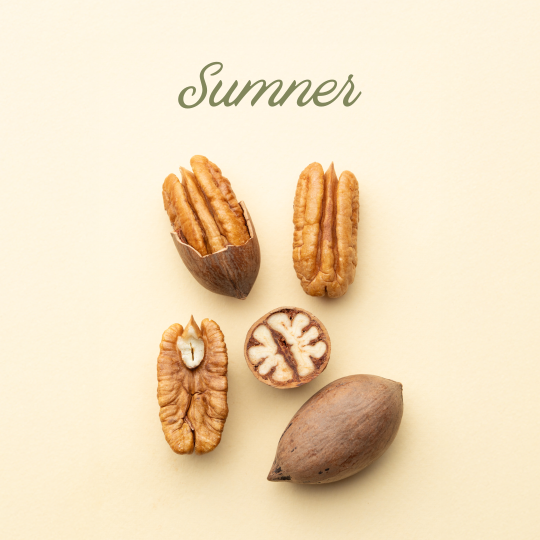 Sumner In-Shell Pecans