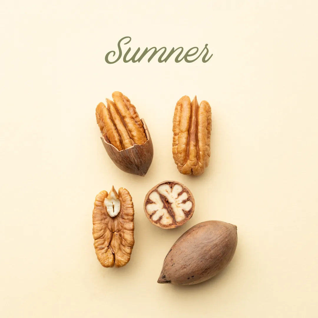 Pecans on a beige background with the word 'Summer' written above.