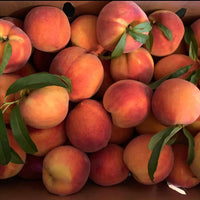 Farm Box of Peaches