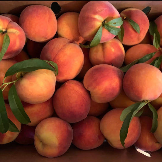 Farm Box of Peaches